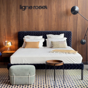 Image du magasin Domus Galerija  / Ligne Roset