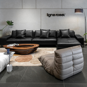 Image du magasin LIGNE ROSET gallery