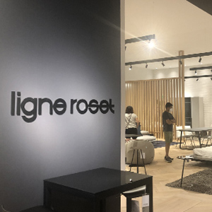 Image du magasin MUST SOCIÉTÉ