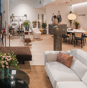 Image du magasin Ligne Roset The Apartment Showroom