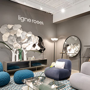 Image du magasin LIGNE ROSET CHICAGO