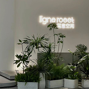 Image du magasin WENZHOU CHUMMY HOME LTD