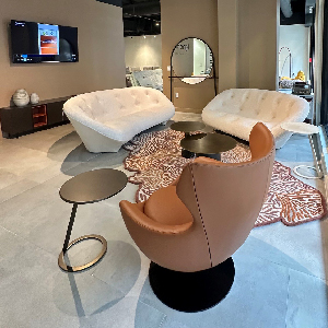 Image du magasin LIGNE ROSET HOUSTON